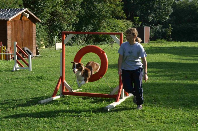 agility 2011-08